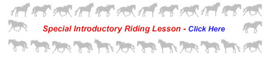 Half Price Riding Lessons