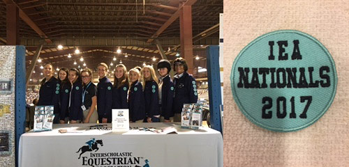 IEA Team