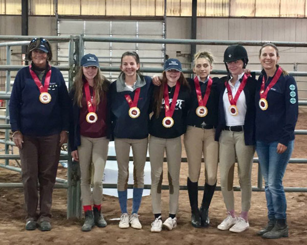 IEA Team