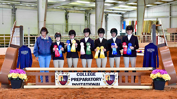 IEA Team
